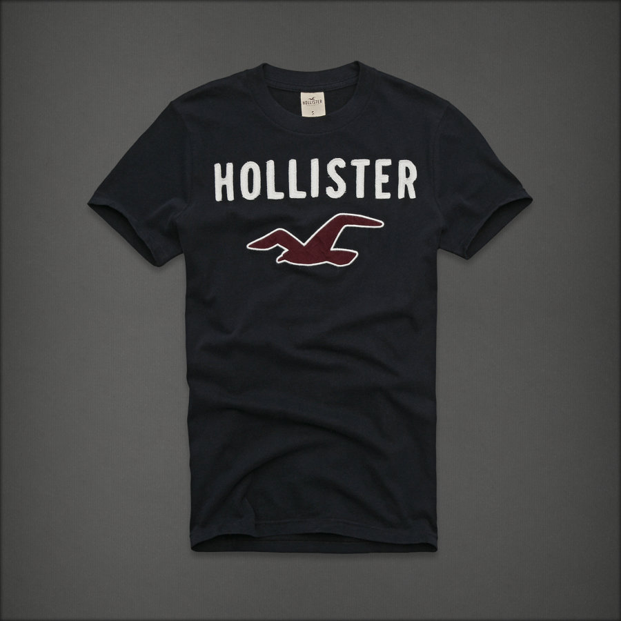 Hình Áo thun nam Hollister Classic Tee HCO-T136