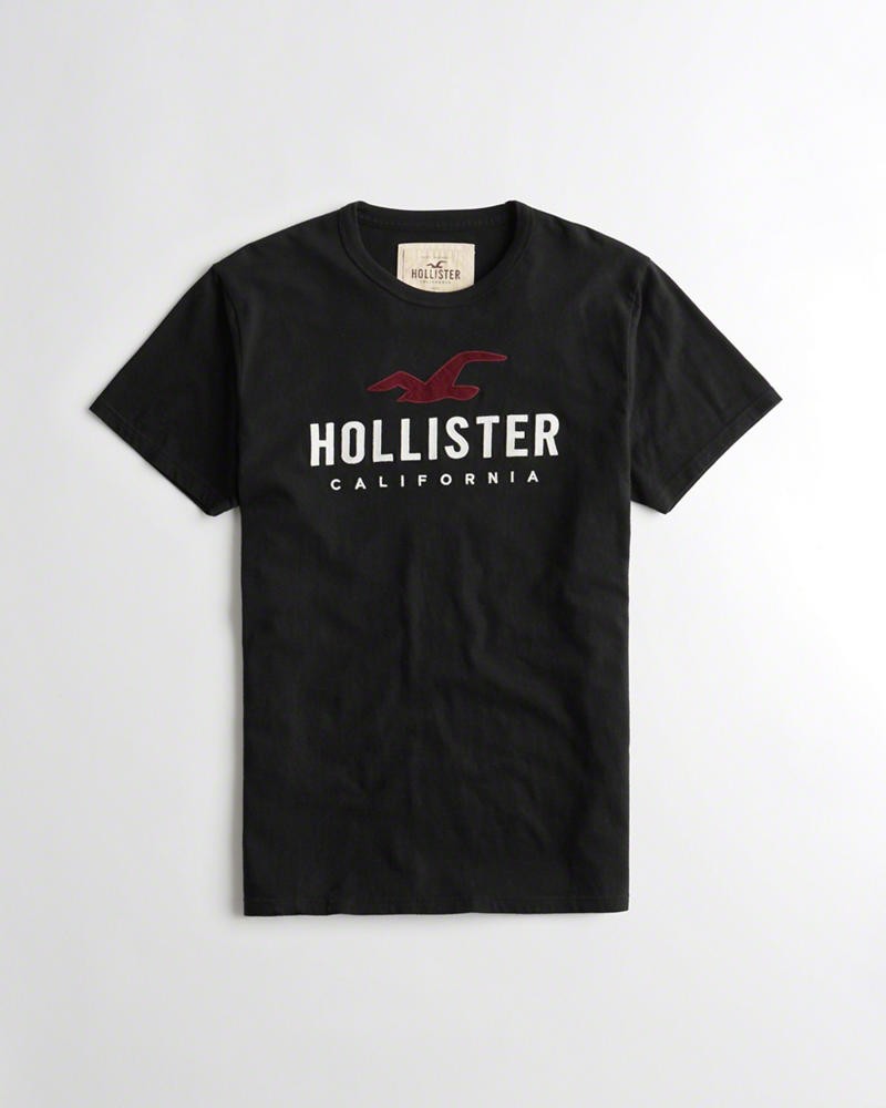 Hình Áo thun nam Hollister Logo Graphic Tee HCO-T138