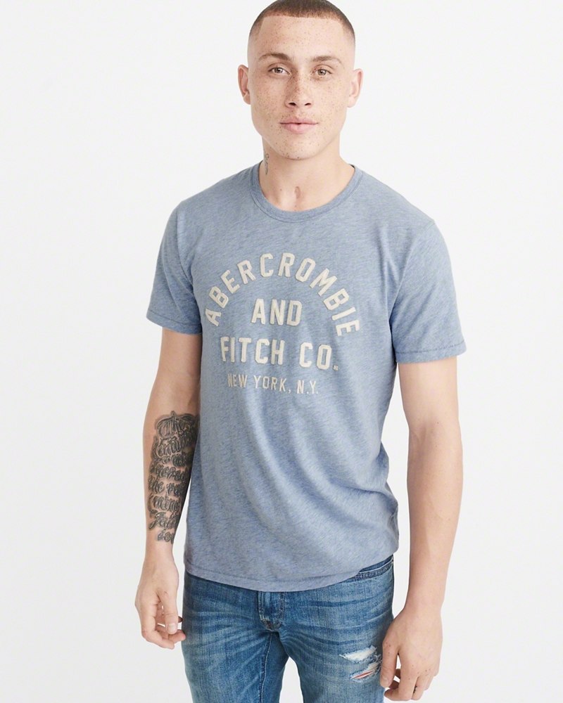 Hình Áo thun nam Abercrombie & Fitch AF-US-T14 APPLIQUE GRAPHIC TEE