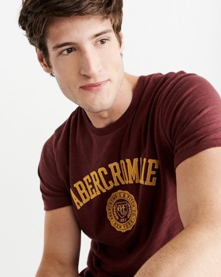 Hình Áo thun nam Abercrombie & Fitch AF-US-T24 Applique Logo Tee