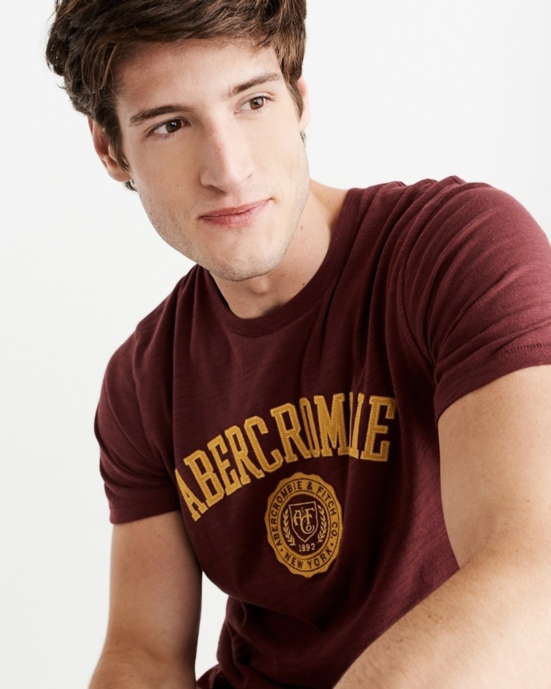 Hình Áo thun nam Abercrombie & Fitch AF-US-T24 Applique Logo Tee