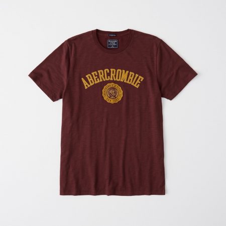 Hình Áo thun nam Abercrombie & Fitch AF-US-T24 Applique Logo Tee