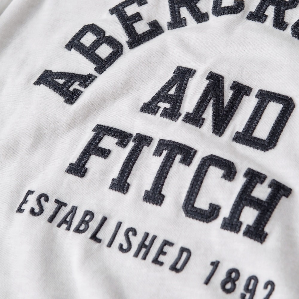 Hình Áo thun nam Abercrombie & Fitch AF-US-T25 Applique Logo Tee