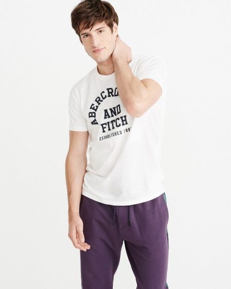 Hình Áo thun nam Abercrombie & Fitch AF-US-T25 Applique Logo Tee