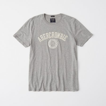 Hình Áo thun nam Abercrombie & Fitch AF-US-T27 Applique Logo Tee
