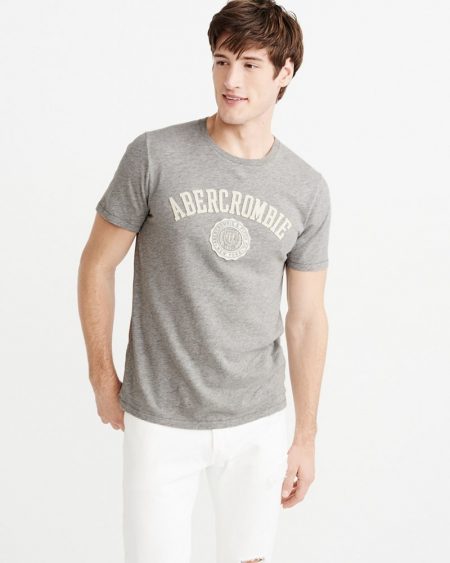 Hình Áo thun nam Abercrombie & Fitch AF-US-T27 Applique Logo Tee