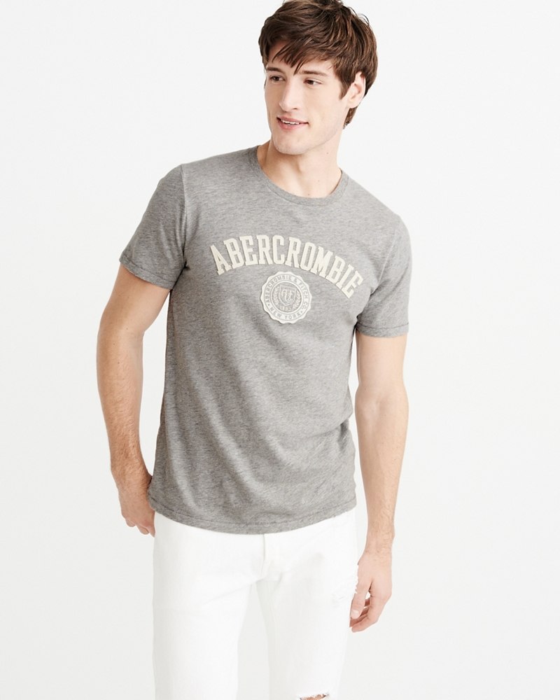 Hình Áo thun nam Abercrombie & Fitch AF-US-T27 Applique Logo Tee