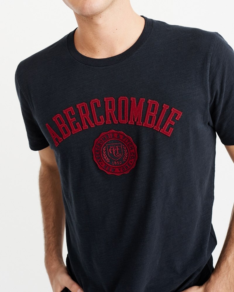 Hình Áo thun nam Abercrombie & Fitch AF-US-T28 Applique Logo Tee