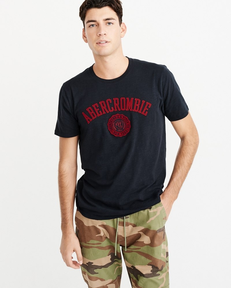 Hình Áo thun nam Abercrombie & Fitch AF-US-T28 Applique Logo Tee