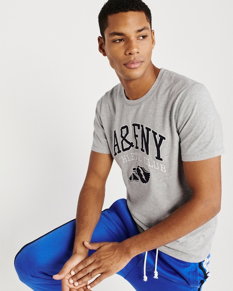 Hình Áo thun nam Abercrombie & Fitch AF-US-T30 Applique Logo Tee
