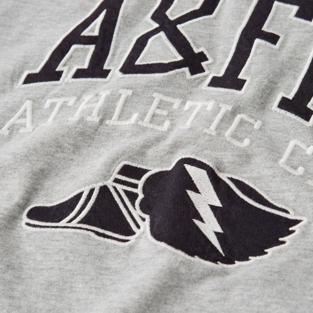 Hình Áo thun nam Abercrombie & Fitch AF-US-T30 Applique Logo Tee