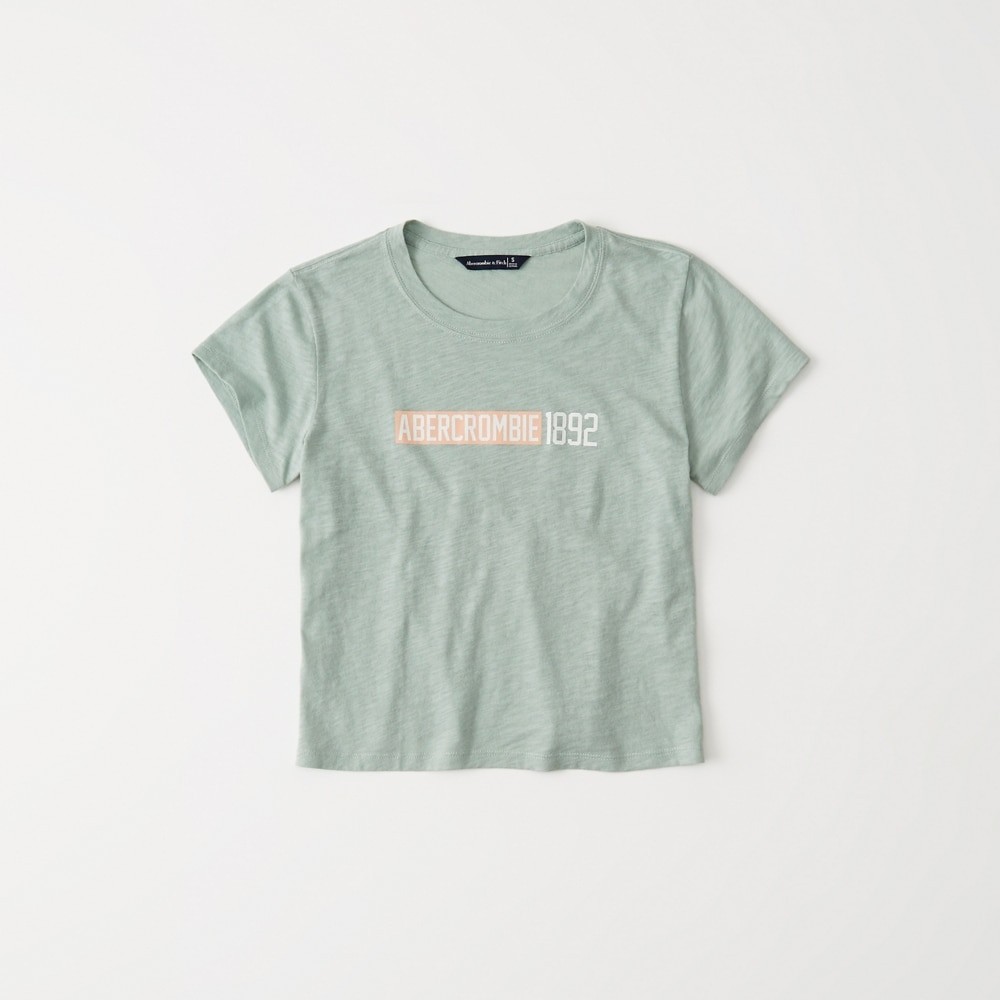 Hình Áo thun nữ Abercrombie & Fitch AF-US-NT08 Short-Sleeve Logo Tee