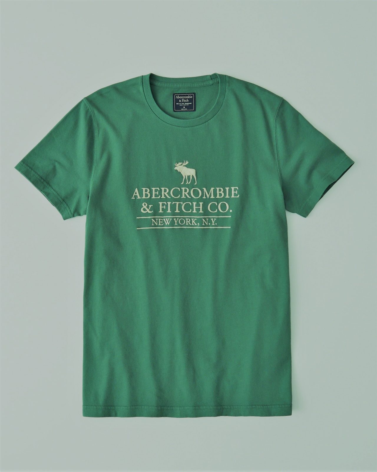 Hình Áo thun nam Graphic Tee AF-T262 Abercrombe & Fitch  CO. NewYork N.Y