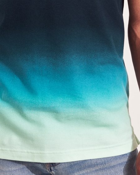 Hình Áo thun nam Hollister HCO-P212 Stretch Shrunken Collar Polo