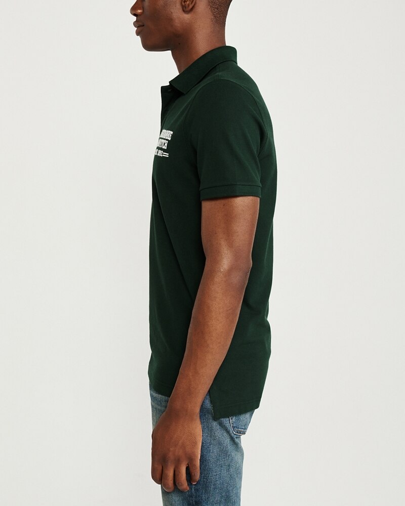 Hình Áo thun polo Abercrombie & Fitch AF-US-P42 Stretch Logo Polo