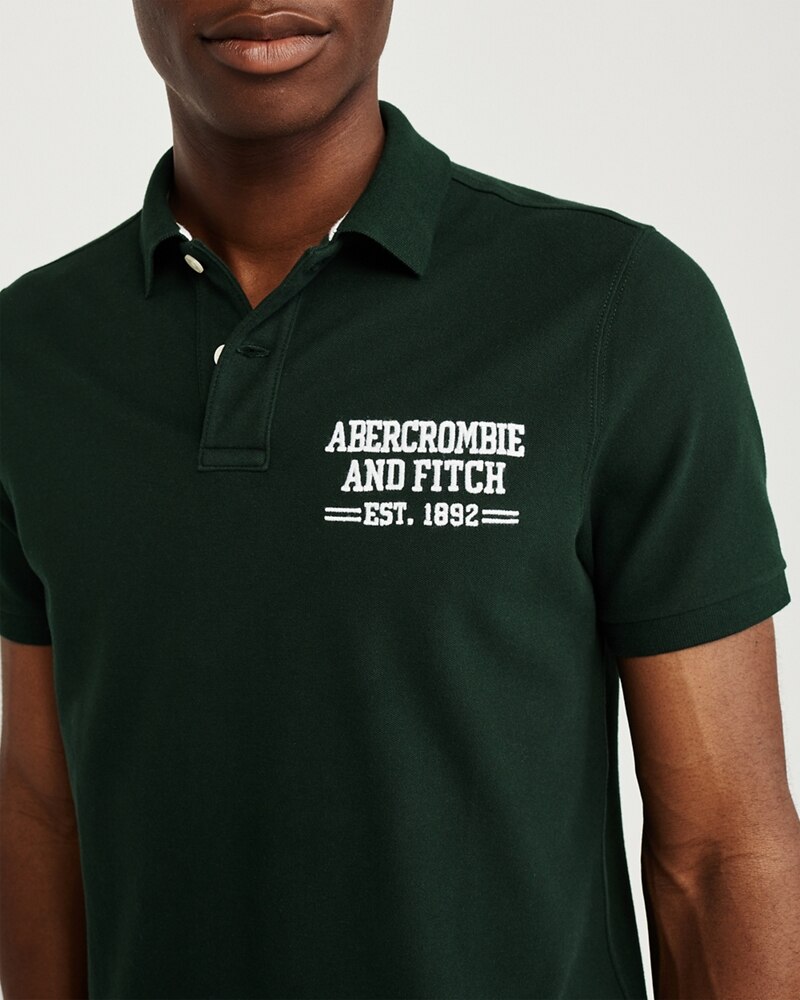 Hình Áo thun polo Abercrombie & Fitch AF-US-P42 Stretch Logo Polo