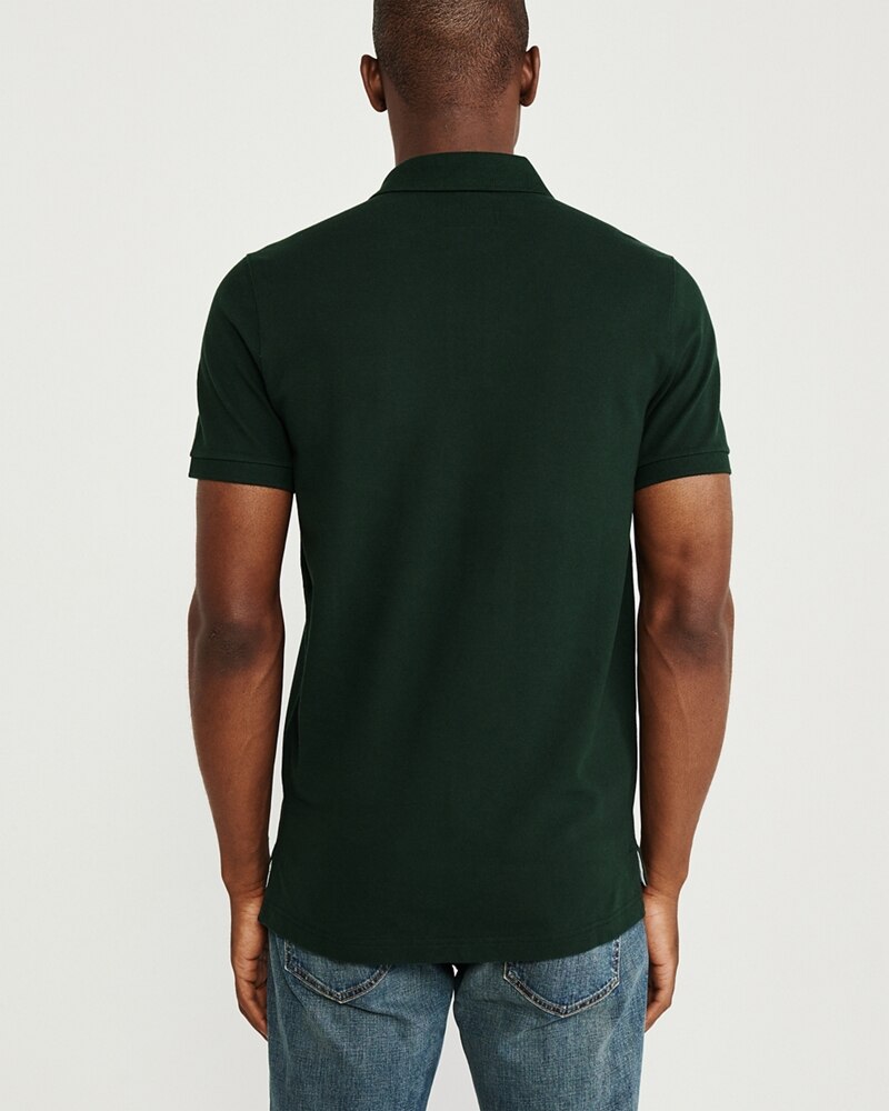 Hình Áo thun polo Abercrombie & Fitch AF-US-P42 Stretch Logo Polo