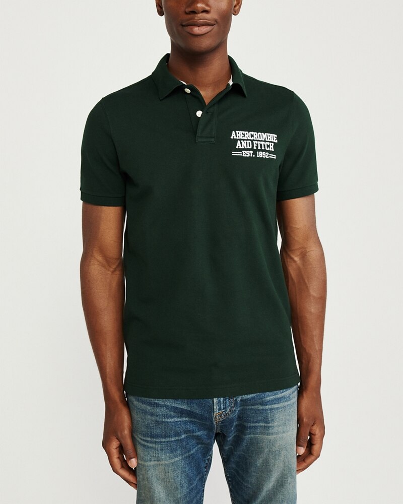 Hình Áo thun polo Abercrombie & Fitch AF-US-P42 Stretch Logo Polo
