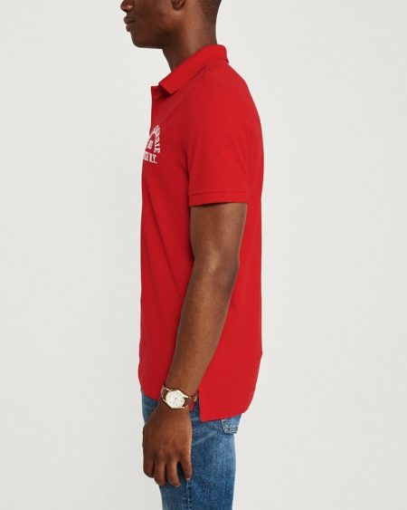 Hình Áo thun polo Abercrombie & Fitch AF-US-P44 Stretch Logo Polo Red