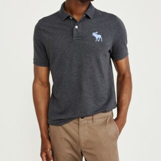 Hình Áo thun polo Abercrombie & Fitch AF-US-P47 Stretch Exploded Icon Polo