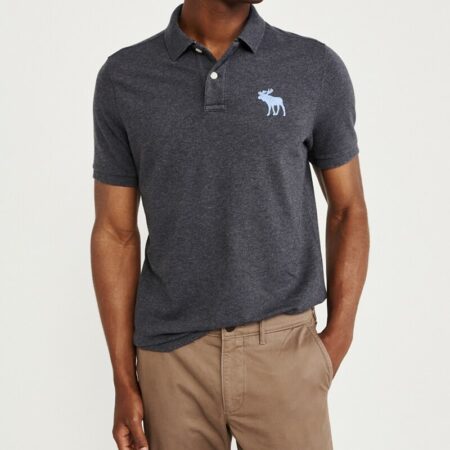 Hình Áo thun polo Abercrombie & Fitch AF-US-P47 Stretch Exploded Icon Polo