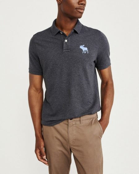 Hình Áo thun polo Abercrombie & Fitch AF-US-P47 Stretch Exploded Icon Polo