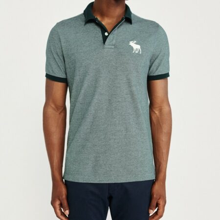 Hình Áo thun polo Abercrombie & Fitch AF-US-P48 Stretch Exploded Icon Polo