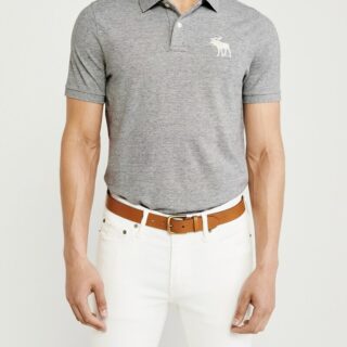 Hình Áo thun polo Abercrombie & Fitch AF-US-P50 Exploded Icon Stretch Polo