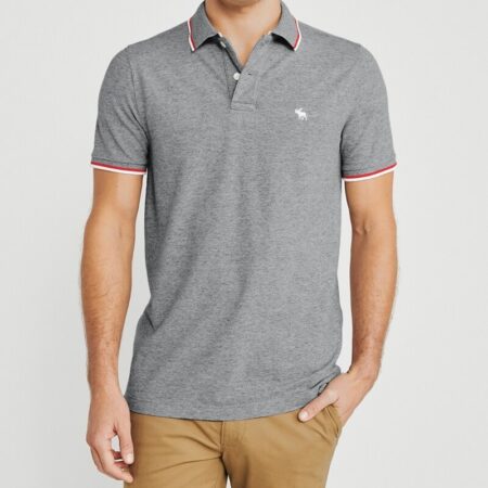 Hình Áo thun polo Abercrombie & Fitch AF-US-P64 Tipped Icon Stretch Polo