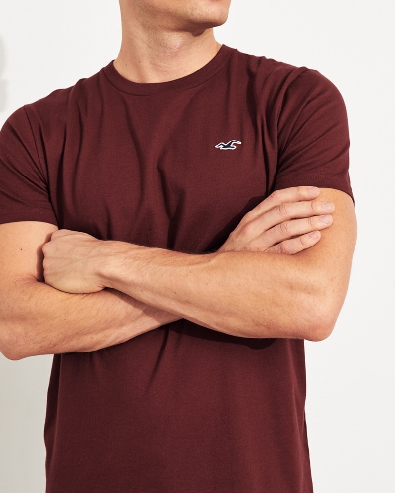 Hình Áo thun nam Hollister HCO-T147 Must-Have Crewneck T-Shirt Burgundy