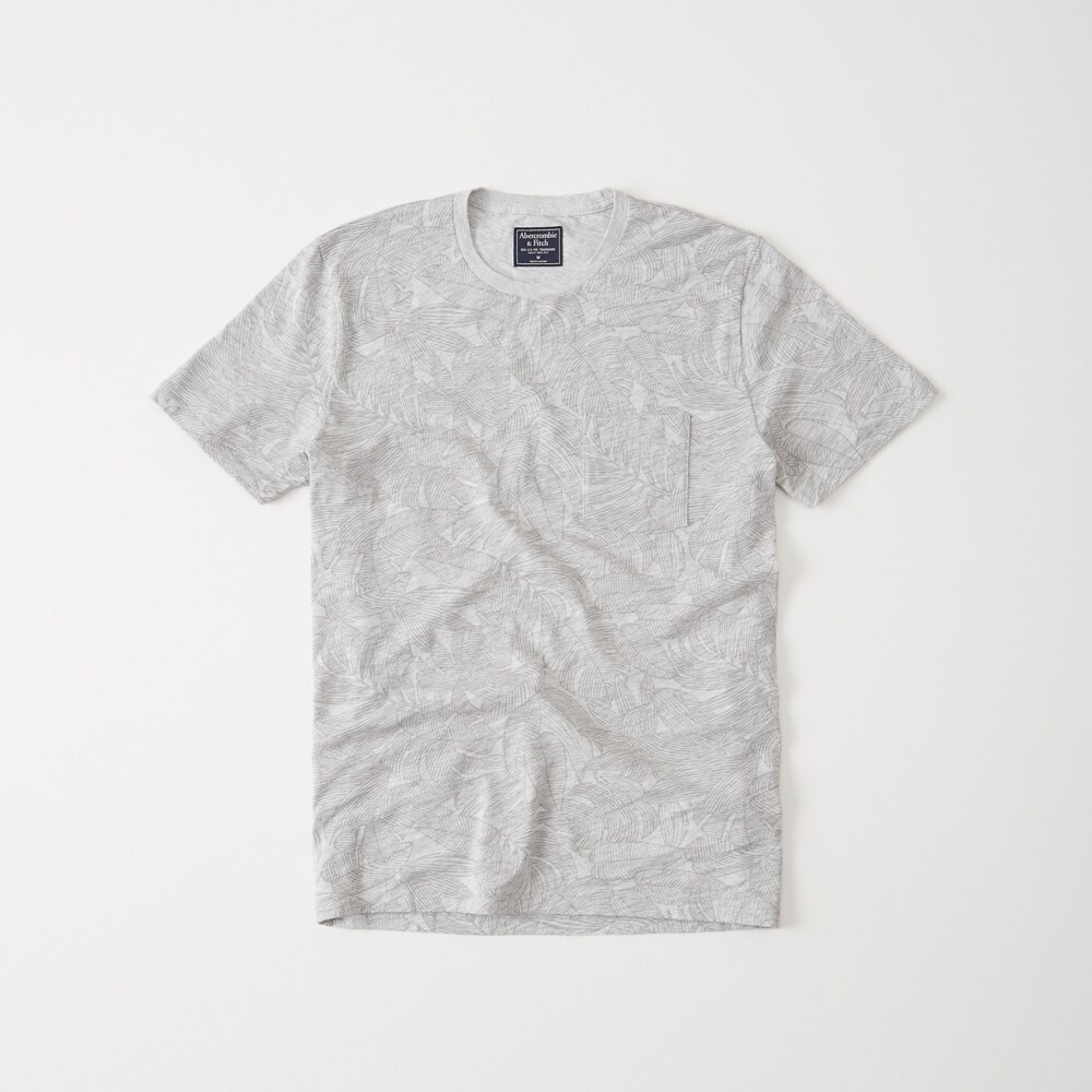 Hình Áo thun nam Abercrombie & Fitch AF-T276 Mens Print Crew Tee