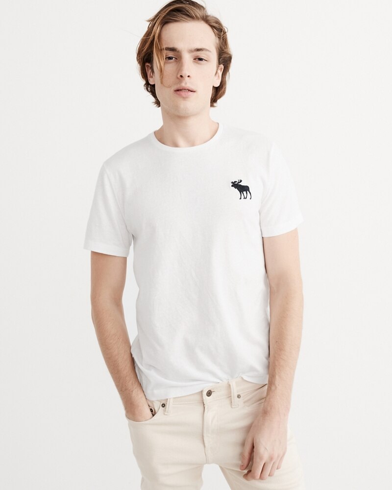 Hình Áo thun nam Abercrombie & Fitch AF-T285 Big Icon Crew Tee White