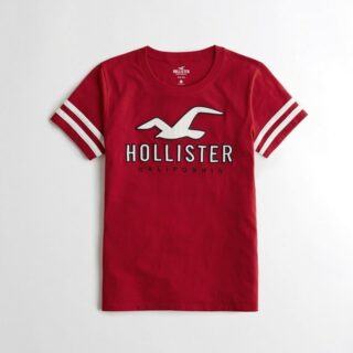 Hình Áo thun nữ Hollister HCO-NT38 Sleeve-Stripe Logo Graphic Tee