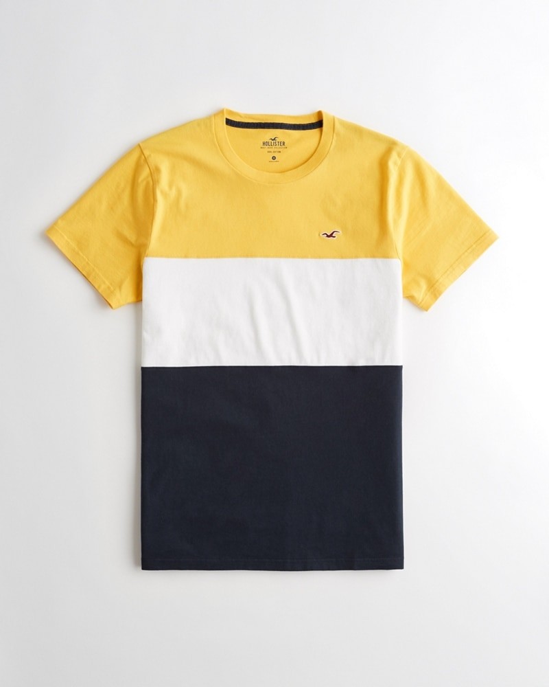 Hình Áo thun nam Hollister HCO-T162 Color Block Tee