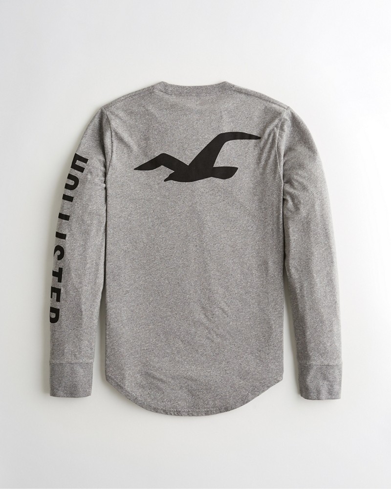 Hình Áo thun nam tay dài Hollister HCO-HL24 Print Logo Graphic Tee