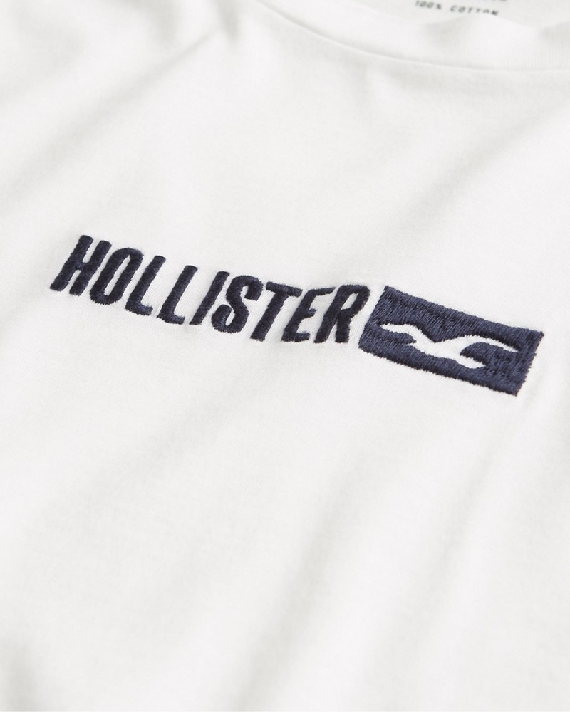 Hình Áo thun nam tay dài Hollister HCO-HL29 Ombré Graphic Tee