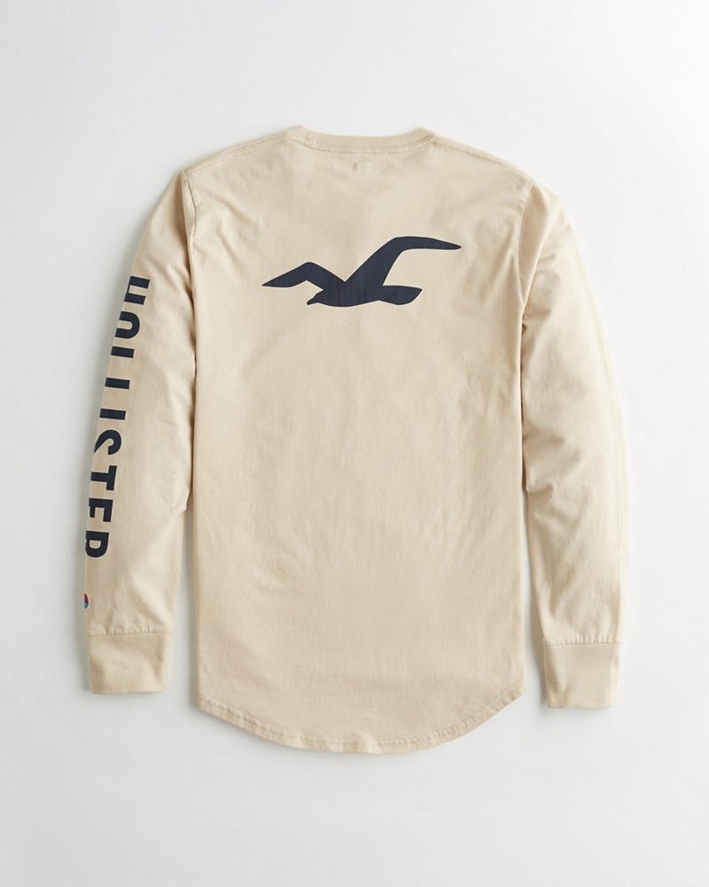 Hình Áo thun nam tay dài Hollister HCO-HL40 Logo Graphic Tee Cream
