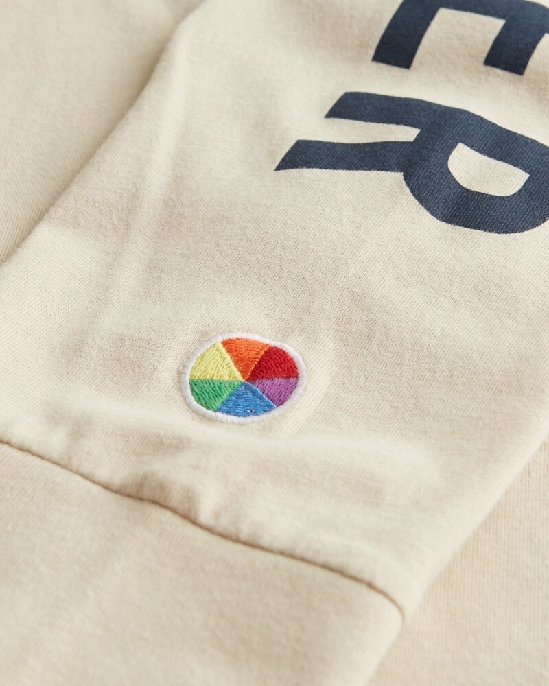 Hình Áo thun nam tay dài Hollister HCO-HL40 Logo Graphic Tee Cream