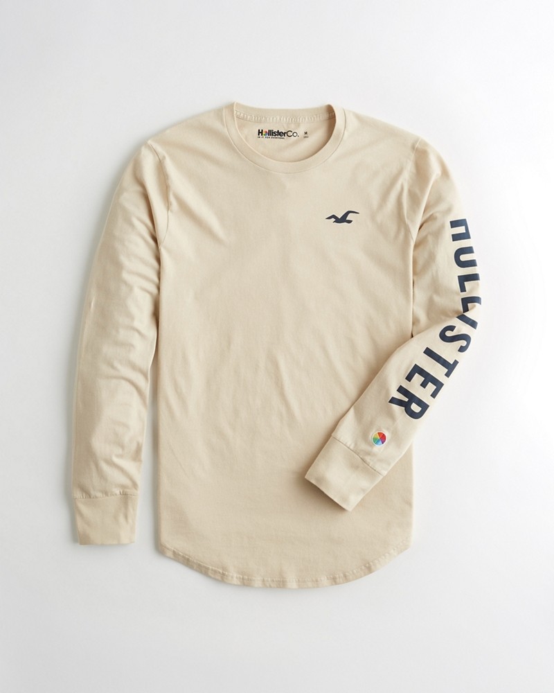 Hình Áo thun nam tay dài Hollister HCO-HL40 Logo Graphic Tee Cream