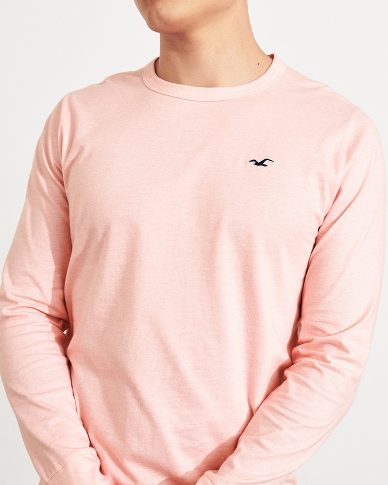 Hình Áo thun nam tay dài Hollister HCO-HL66 Curved Hem T-Shirt