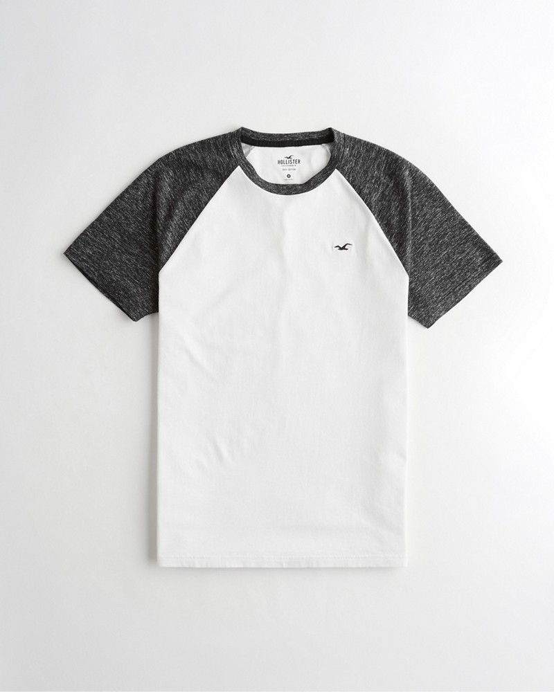 Hình Áo thun nam Hollister HCO-T169 Colorblock Raglan T-Shirt