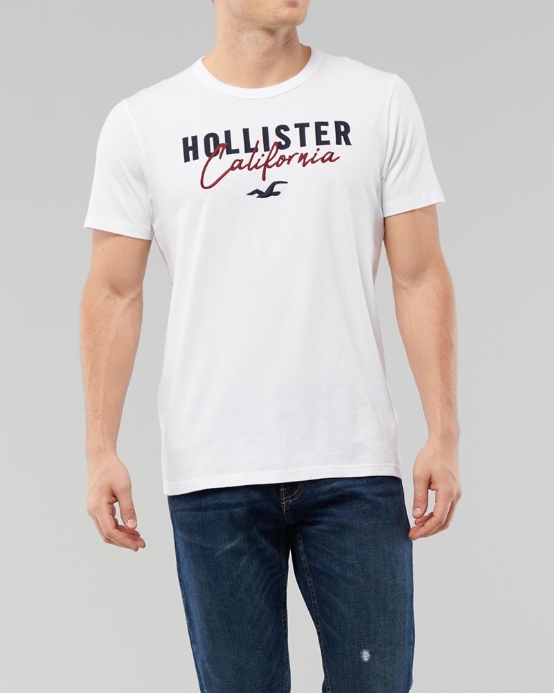 Áo thun nam Hollister HCO-US-T16 Embroidered Logo Graphic Tee - Ảnh 2