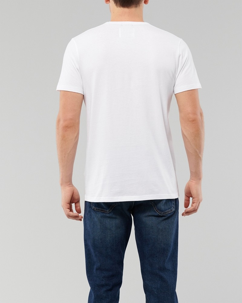 Áo thun nam Hollister HCO-US-T16 Embroidered Logo Graphic Tee - Ảnh 3