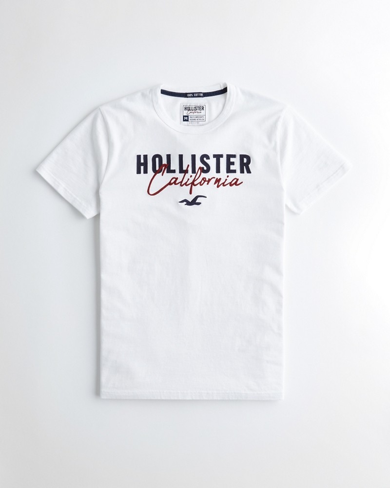 Áo thun nam Hollister HCO-US-T16 Embroidered Logo Graphic Tee
