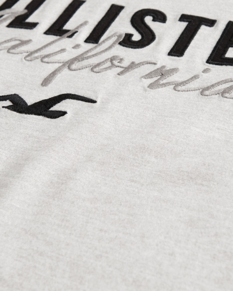 Hình Áo thun nam Hollister HCO-US-T17 Applique Logo Graphic Tee