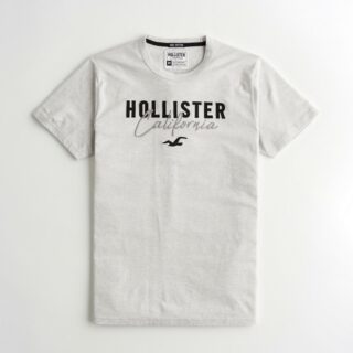 Hình Áo thun nam Hollister HCO-US-T17 Applique Logo Graphic Tee