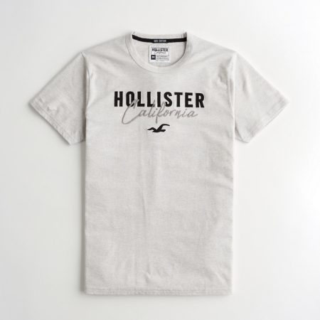 Hình Áo thun nam Hollister HCO-US-T17 Applique Logo Graphic Tee