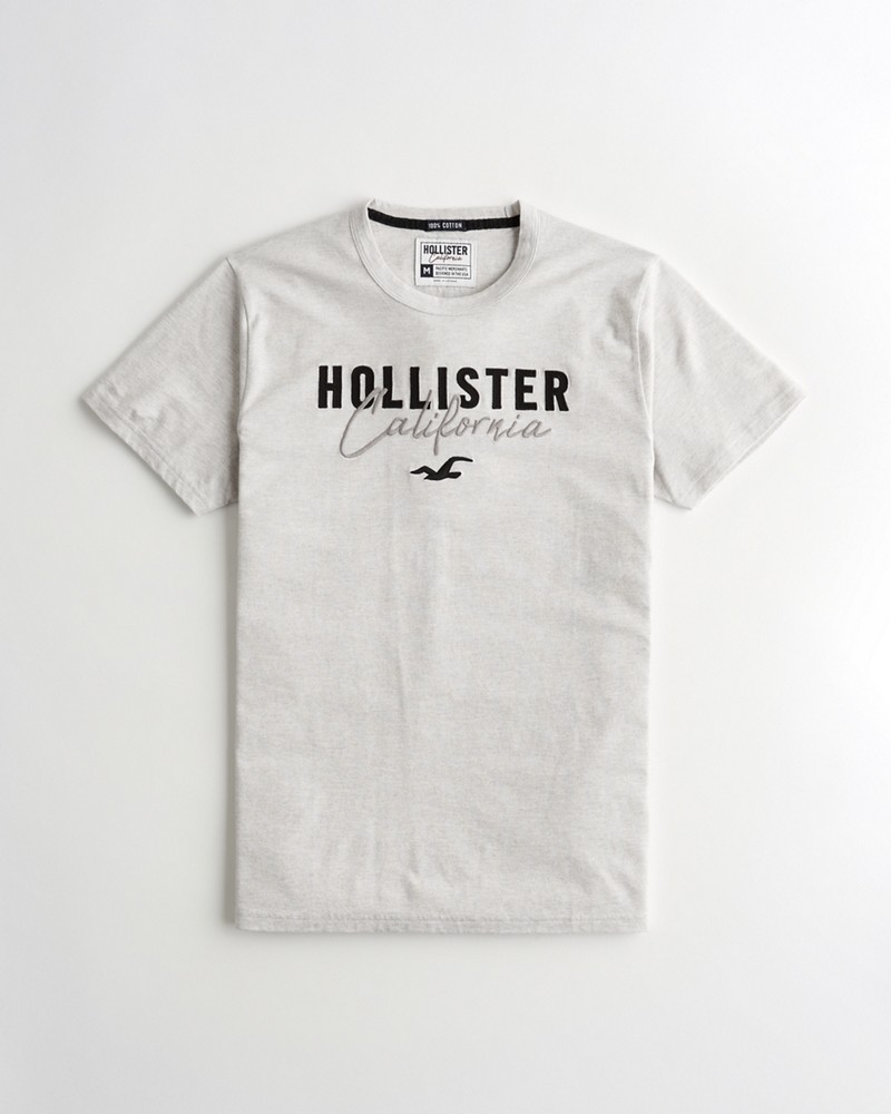 Hình Áo thun nam Hollister HCO-US-T17 Applique Logo Graphic Tee