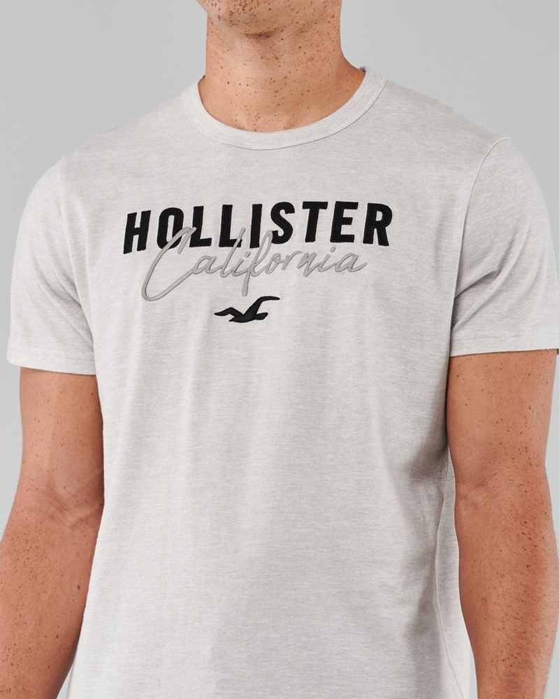 Hình Áo thun nam Hollister HCO-US-T17 Applique Logo Graphic Tee