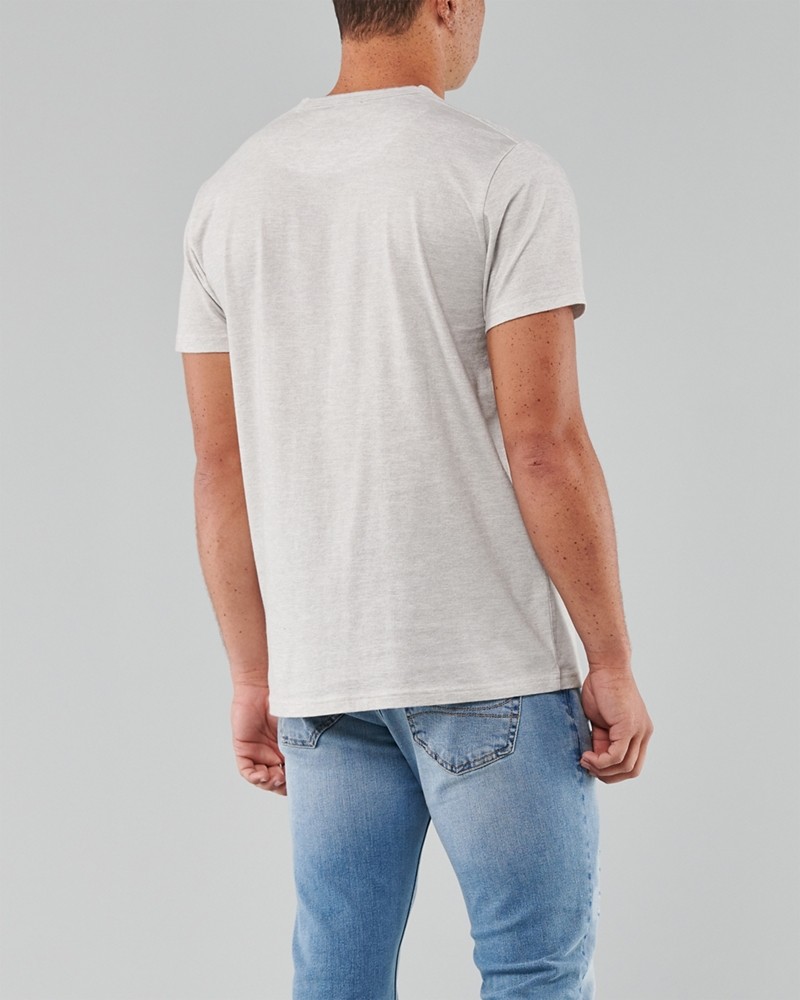Hình Áo thun nam Hollister HCO-US-T17 Applique Logo Graphic Tee